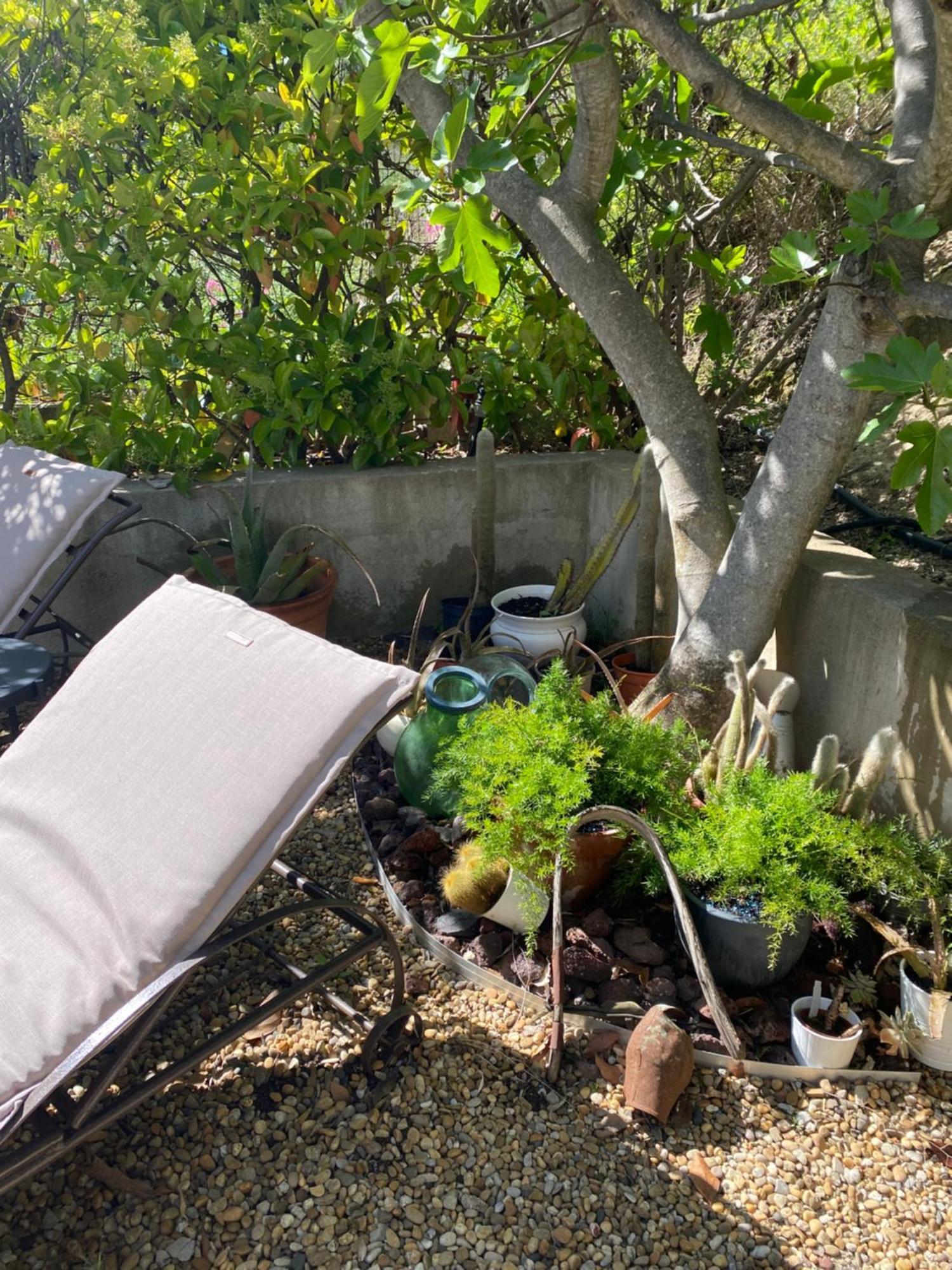 Le Clos de la Chèvre Sud La Cadiere-d'Azur Esterno foto
